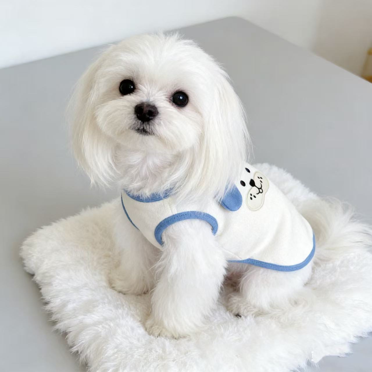 Spring New Japanese and Korean Ins Fengde Velvet Cotton Pet Dog Dog Cat Clothes Teddy Bear VIP Embroidered Vest XXL синий