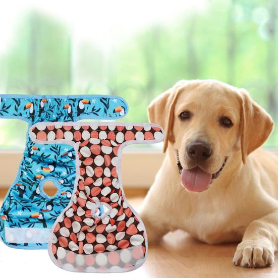 Female Dog Diaper Absorbent Reusable Menstruation Pants Dog Underwear Pet Physiological Pants