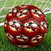 Pucca Theme Size 5 Soccer Ball, Suitable for Both Indoor and Outdoor Matches, a Gift Suitable for Everyone.