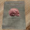 [USED] MYSTERIES OF THE HUMAN BODY