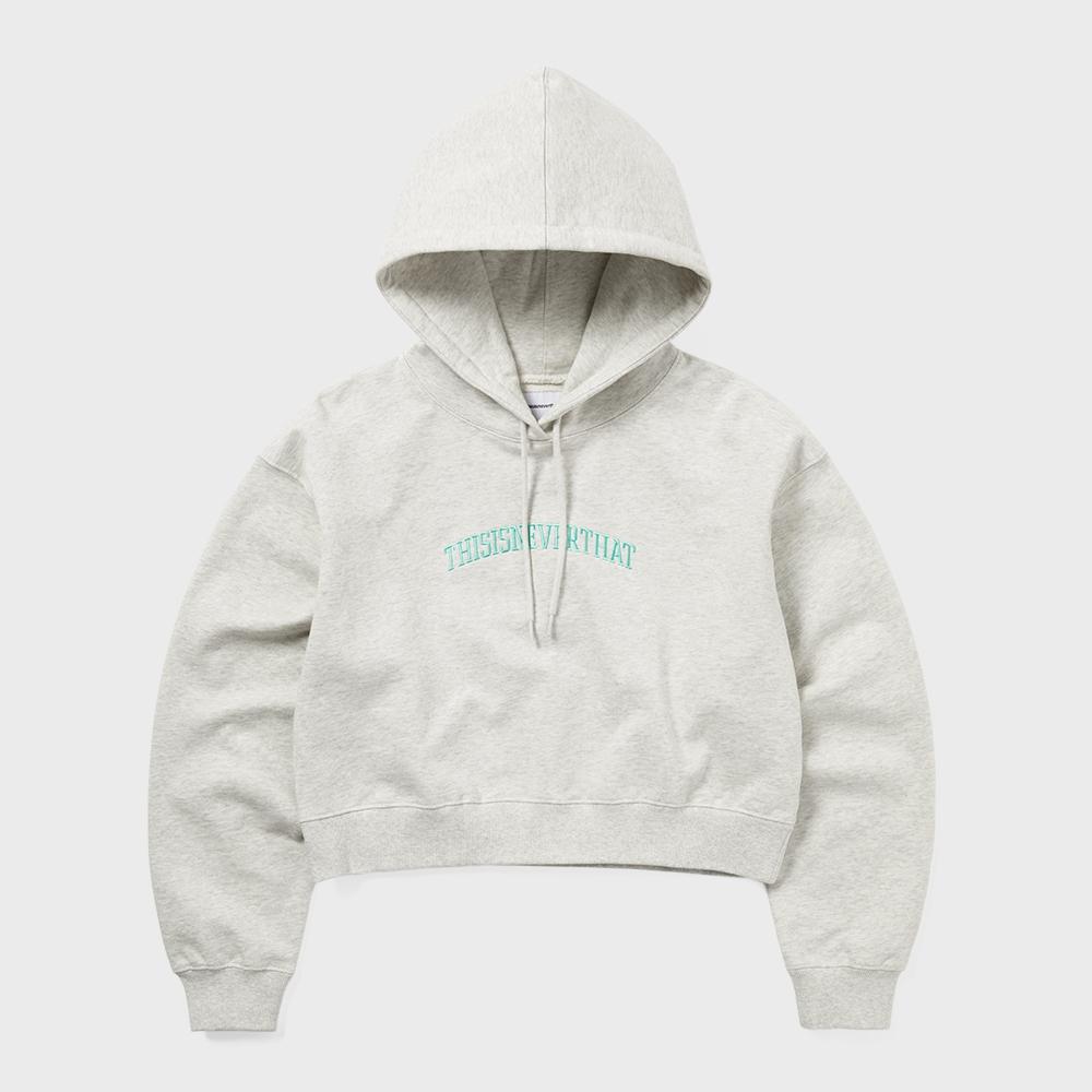 ThIs Is Never That Arch Logo W Hoodie Paints S