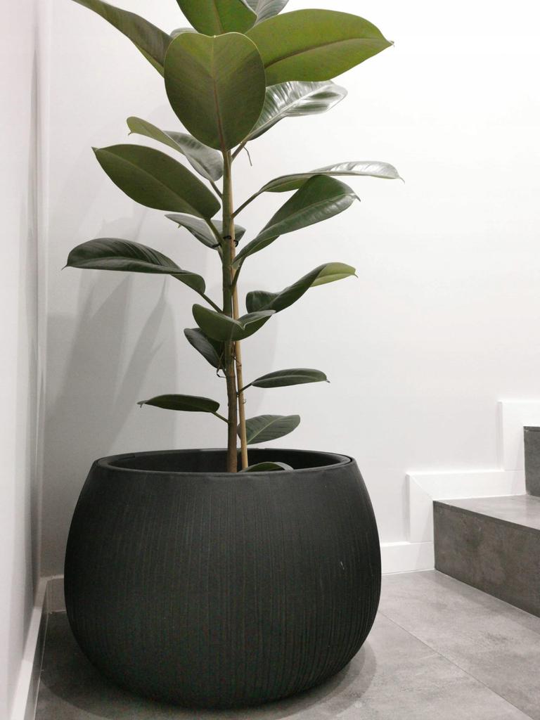 Concrete Pot Sphere Bowl Dkb290 With Insert | Black Concrete