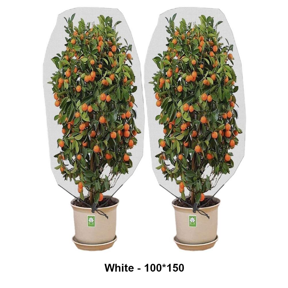 

Сетчатый мешок с защитой от насекомых, защитный мешок для растений, садовый чехол для фруктов, дынь, защитная сетка для ухода за дынями и фруктами 100 * 150