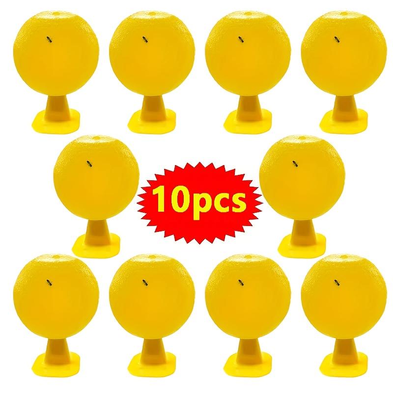 Indoor Flying Insect Catcher,Sticky Trap Balls for Fruit Flies,Gnats,Mosquitoes,Safe Non-Toxic,Place Near Plants,Trash Can,Window,Home,Office Use