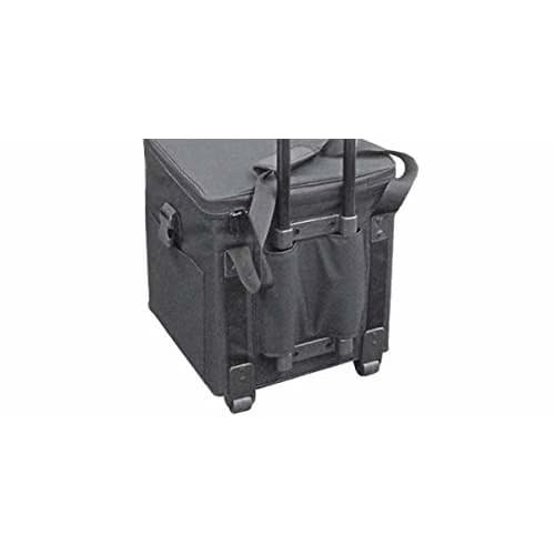 PLAYTECH (formerly ZENN) ZLS100W Record Case