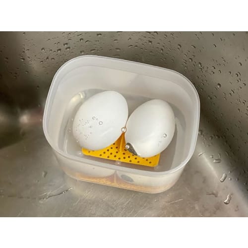NEIGHBOR CLOWN Microwave-Free Onsen Egg Maker, Soft-Boiled Eggs, Soft-Boiled Eggs, Egg Cooker, Time-Saving Cooking, RC Sticker Included