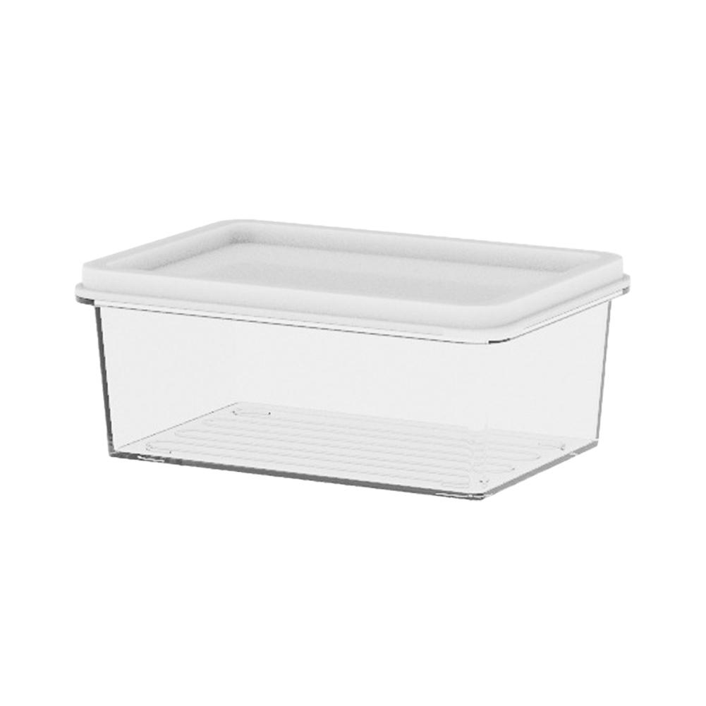 Plastic and Stainless Steel Refrigerator Crisper Food Storage Box with Plastic Lid Prepare Seafood Fruit Vegetable Picnic Box