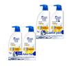 Head & Shoulders Refreshing Oil Control Anti-Dandruff Shampoo