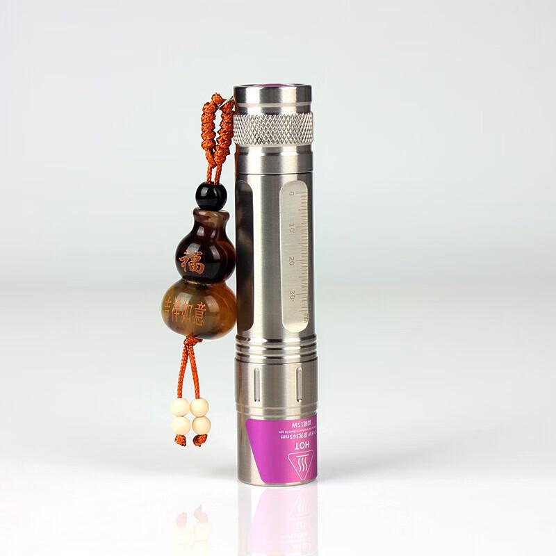 Professional UV 365nm Blacklight Flashlight