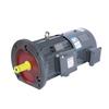 Shengfu Yong YVF2-160L-4 Three-Phase Asynchronous Motor