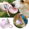 Dogs Cats Stainless Steel Water Bottle 285ml Leak-Proof with Silicone Bowl for Walks Hikes Outdoor Pet Water Dispenser
