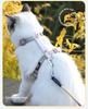 Cat Harness and Leash Set Adjustable Escape Proof Soft Vest Kitten Harness for Outdoor Walking Pet Supplies with Collar
