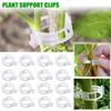 Plant Clips Supports Reusable Plastic Connects Fixing Vine Tomato Stem Grafting Vegetable Plants Orchard and Garden Tools