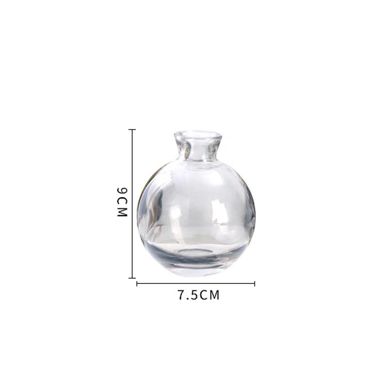 Elegant Mini Light Luxury Glass Vase Set: Creative Desktop Decor for Fresh Flowers In Living Rooms