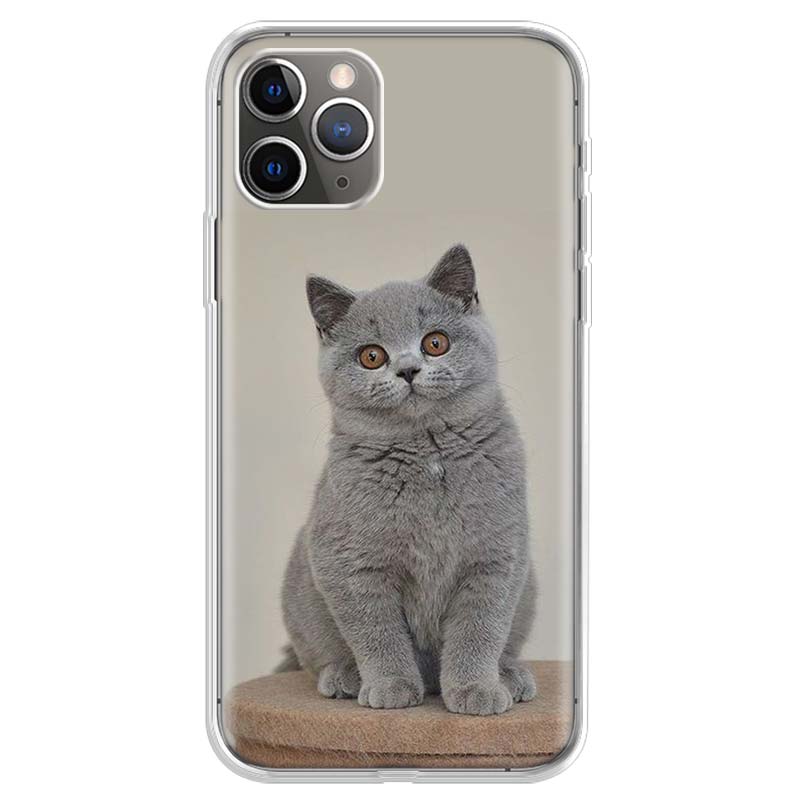 British Shorthair Cat Phone Case For iPhone 17 Air 11 13 Mini 14 15 Plus 16 12 Pro Max 16E SE 7 8 Pattern Soft TPU Back Cover 1
