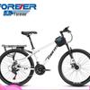 Permanent D005-1 21-Speed 24-inch Steel Mountain Bike