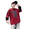 Boys Fake Two Hoodie Spring and Autumn 2025 Children's Leisure Handsome Shirt