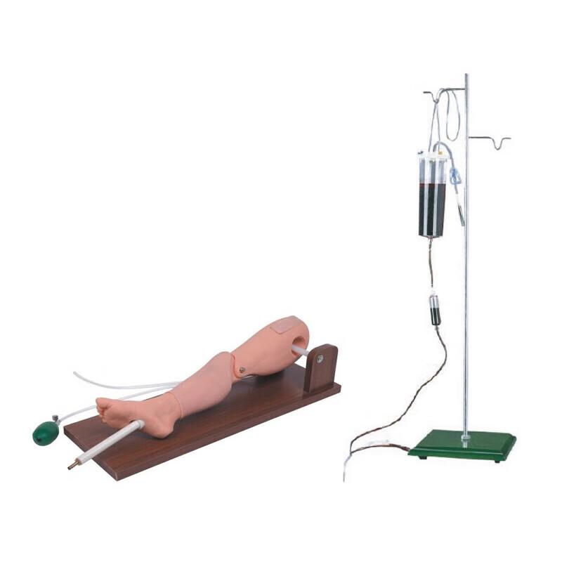 Medical Tibial Puncture Training Model