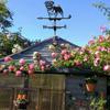 Retro Weather Vane Wind Direction Indicator