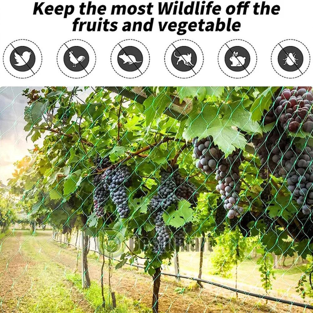 Rete Anti Uccelli Verde Rete da Giardino Rete per Piante Proteggi Piante e Alberi da Frutto da Uccelli Cervi Pollame Migliore Recinzione