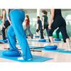 Disc O' Sit Back Strengthener -Disc'O'Sit Balance Cushion