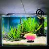 Fish Tank Decorations Plants Aquarium Decorations Plants Fish Tank Accessories Décor Thematic Ornaments For Fish Tank
