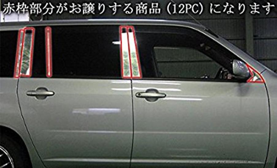 BRIGHTZ Stainless Steel Plated Pillar Panels with Visor for Probox Van Compatible with and P165 Ultra-Mirror 160/165 (PIL-SIL-331), 12-Piece Set,