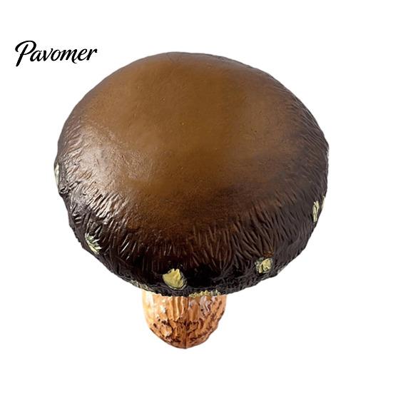 Mushroom Fridge Magnets 3D Refrigerator Magnet, Resin Fake Decorative Small Memo Holders Photo Notes Holder for Whiteboard Cabinet Kitchen Magnetic