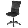 Adjustable Swivel Computer Desk Chair with Lumbar Support Office Decor Furniture