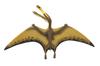 SAFARI WS Pterosaurus Replica X X Cm PVC 299729 10.49 17.5 2.21