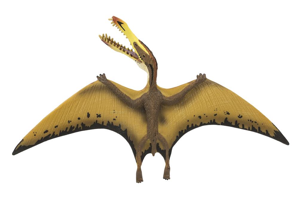 SAFARI WS Pterosaurus Replica X X Cm PVC 299729 10.49 17.5 2.21