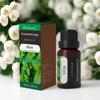 Grenzüberschreitender Aroma-Diffusor für ätherische Öle für Massage & Aromatherapie