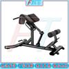 Fengta 45-Degree Back Extension Bench