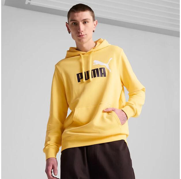 Puma Ess 2 Color Nº1 Logo Hoodie