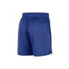 New Nike NBA Basketball Shorts Men's Rush Blue/White FB3728-495