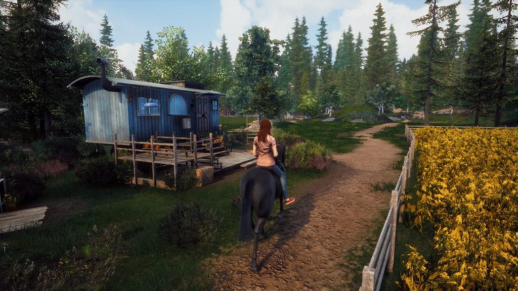 Beginn einer großen Freundschaft Nord PS4 Sturm (Import Amerika) -