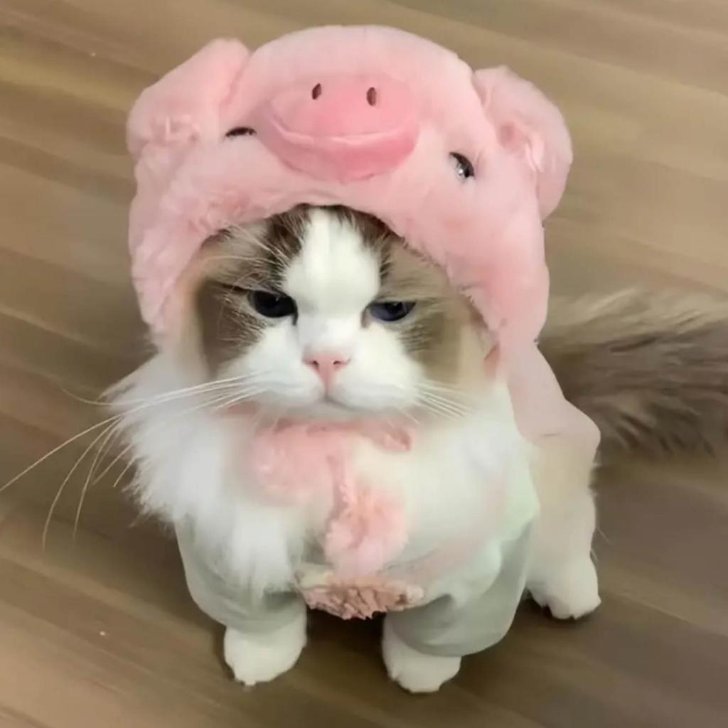 Cute Cat Costume Warm Hat Adorable Plush Pig/Chicken Shape Pet Hat Suitable for Small Dog Kitten Puppy