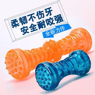TPR Bite-Resistant Squeaky Teething Bone Toy for Golden Retrievers & Teddy Dogs