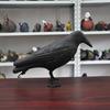 Outdoor Hunting Bait Standing Black Crow Garden Decoration Halloween Indoor Decoration Bird Repellent
