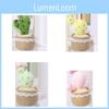 Cute Cactus Potted Plant With Lace Decoration Succulent Plush Toy Pendant For Home Storage And Gift Giving