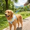 Comfortable Fit Pet Harness Leash Escape-Proof Dog Collar Harness Set Dog Chest Strap Daily Use