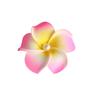 Pearl Plumeria Flower Hair Clips For Women Girls Hairpins Egg Flower Barrette Hawaiian Wedding Party Bag Hat Accessories