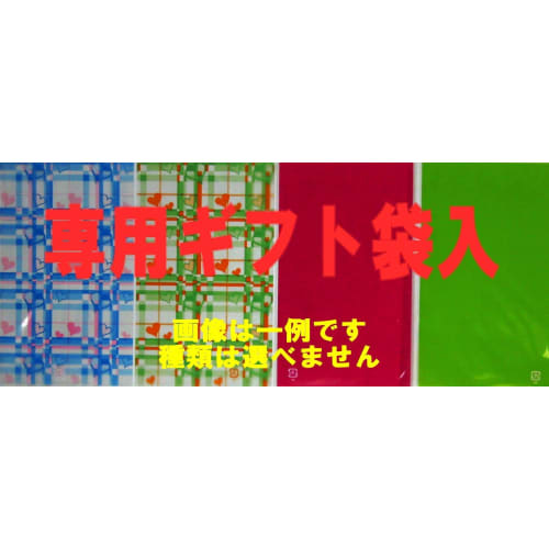 Yu-Gi-Oh! Card [Magic Magician Gal] [Ultra] WJMP-JP018-UR