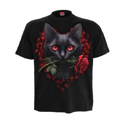 Top – T-shirts