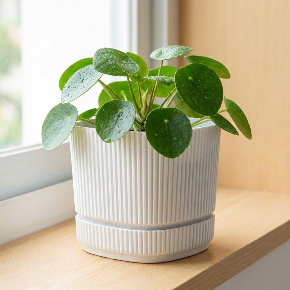 Double Layer Self Watering Flower Pot with Drainage Hole Desktop Vase Hydroponics Plant Pot Thickened Plastic Lazy Plant Pot
