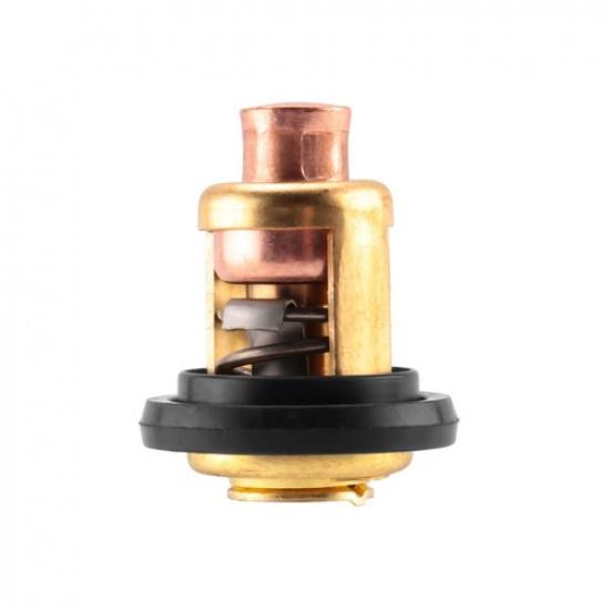 Термостат для морских двигателей Evinrude Johnson