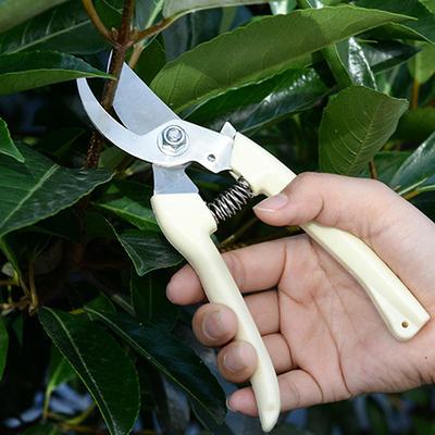 Stainless Steel Pruning Scissors Shears Snips Garden Farm Flowers Hand Tool New