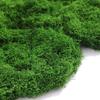 Artificial Moss Turf Landscape Ornament for Bonsai & Potted Plant Decoration