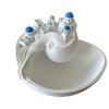 Spiral Divider Conch Shell Storage Box Conch Shell Shape Shell Key Bowl New Catchall Bowl