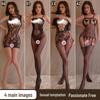 Passion Set: Sheer Open Crotch Fishnet Stockings